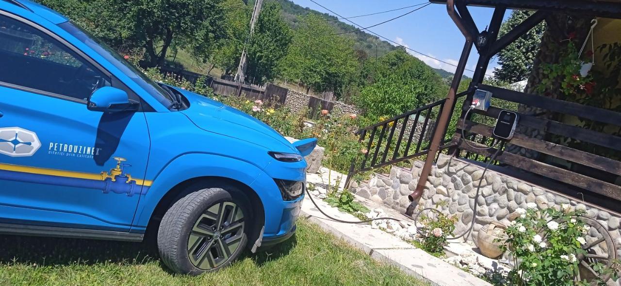 Pensiunea Gradinarilor Cu Ciubar Si Statie De Incarcare Electrica Auto Comanesti  Zewnętrze zdjęcie